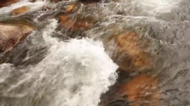 Mountain River Högupplöst Panorering Åtgärd Landskap Med Vattenfall Och Stor — Stockvideo