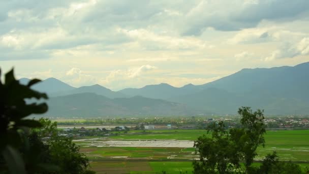 田んぼと高精細映像素材クリップ領域上で実行する青々 とした熱帯植物 ベトナム山脈風景 アジアの風景にカメラ左のパン — ストック動画