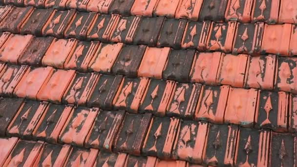 Red Rooftop Baked Clay Tiles Old Weathered Panning Camera High — Stock Video