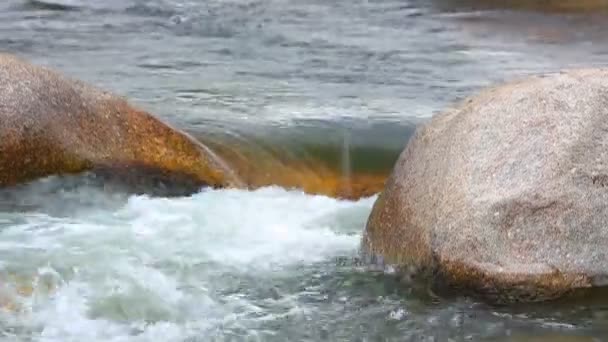 Cena Rio Montanha Água Doce Com Água Chuva Fresca Fluxo — Vídeo de Stock