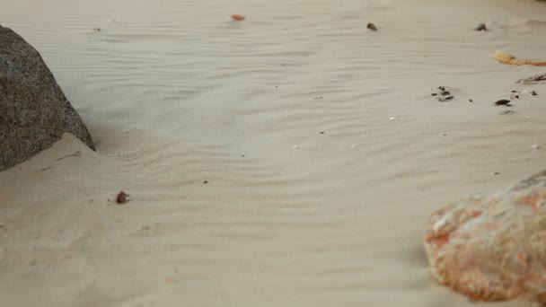 Man Voeten Benen Close Lopen Blootsvoets Een Fris Wit Zandstrand — Stockvideo