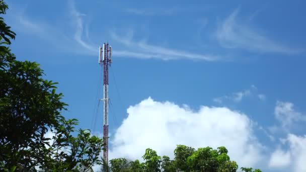 赤と白のモバイル通信マストは 木の上と深い青い熱帯の曇り空と時間経過します ネットワーク放送塔 — ストック動画