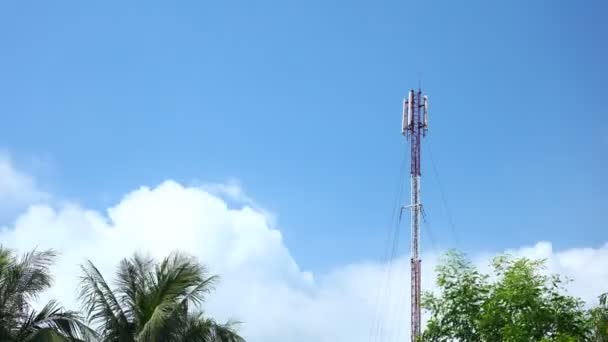 赤と白の携帯電話の通信マストは 木の上と深い青い熱帯の曇り空と時間が経過します ネットワーク放送塔 — ストック動画