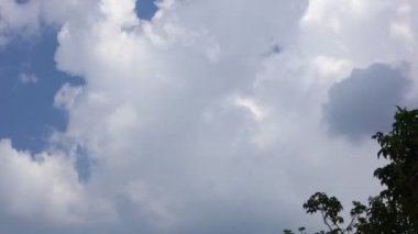 Gri beyaz bulut oluşumları ve canlı yeşil ağaç üst ile mavi gökyüzü ile tropikal fırtınalı gökyüzü zaman atlama.