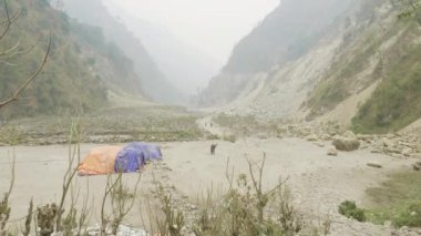 Nepal dağlar arasında eşek yiyor. Manaslu devre trek.