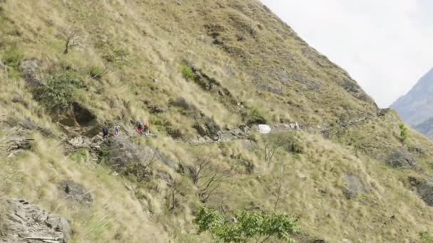 A lot of backpackers walk on path in nepalese mountains. Manaslu circuit trek. — Stock Video