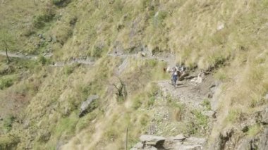 Bir sürü backpackers yürüyüş Nepal dağlarda yolda. Manaslu devre trek.