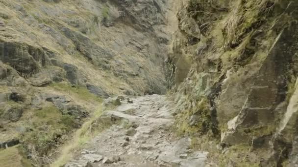 Chemin des montagnes au Népal. Trek du circuit de Manaslu . — Video