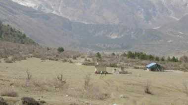 Turist kılavuzu ile Himalaya, Manaslu alan, Nepal doğa yürüyüşü vardır.