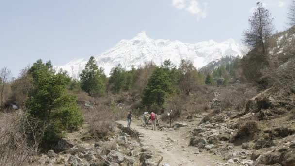 游客与导游的徒步旅行在喜马拉雅, 马纳斯卢峰地区, 尼泊尔. — 图库视频影像
