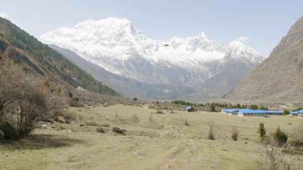 Los turistas con el guía están en el trekking en Himalaya, área de Manaslu, Nepal . — Vídeo de stock