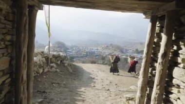 Yerel çiftçilerin ağır hasır sepetleri Nepal başlarına taşırlar. Manaslu alan.
