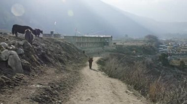 Yerel çiftçilerin ağır hasır sepetleri Nepal başlarına taşırlar. Manaslu alan.