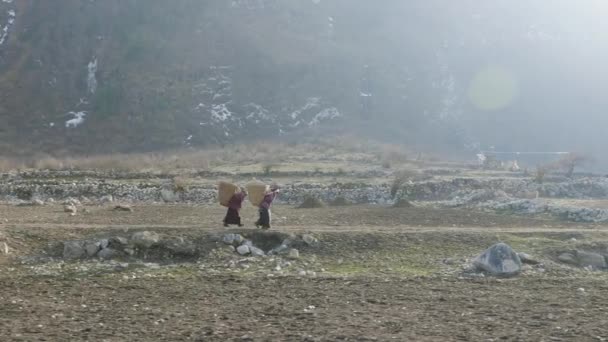 Místní zemědělci nést těžký proutěné košíky na hlavách v Nepálu. Manaslu oblast. — Stock video