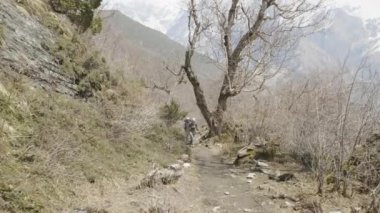 Nepal dağlar arasında gizemli ormanda yürümek çift.