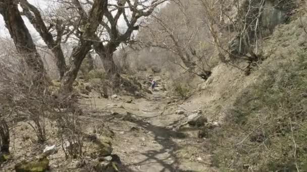 一对夫妇漫步在神秘的森林之间的尼泊尔山脉. — 图库视频影像