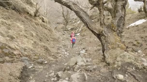Paar wandelen in mysterieuze bos tussen de bergen van Nepal. — Stockvideo