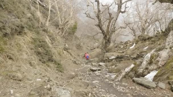 Casal caminhando em floresta misteriosa entre as montanhas do Nepal . — Vídeo de Stock