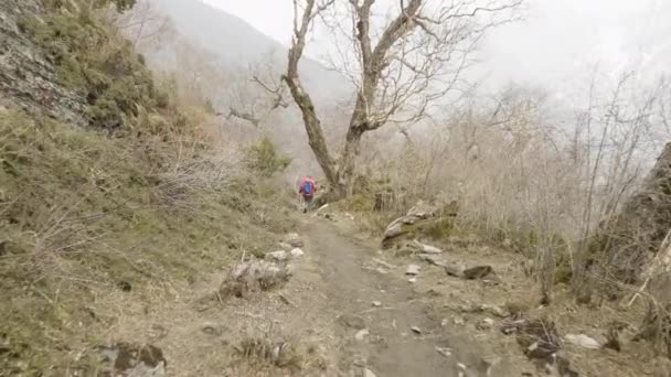 Coppia Passeggiando Nella Misteriosa Foresta Tra Montagne Del Nepal — Video Stock