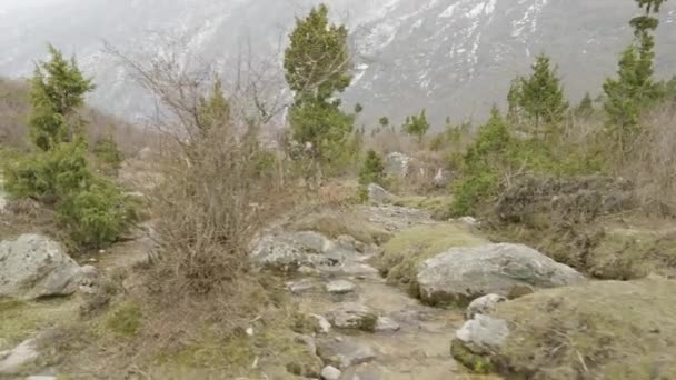 Mystiska Skogen Bland Bergen Nepal — Stockvideo