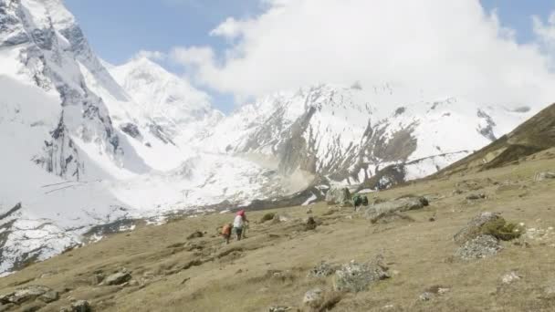 Bir sürü backpackers Nepal trekking Larke geçmektedir. Manaslu alan. — Stok video