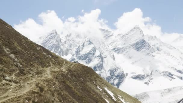 Veel backpackers op de trekking Larke Pass in Nepal. Manaslu gebied. — Stockvideo