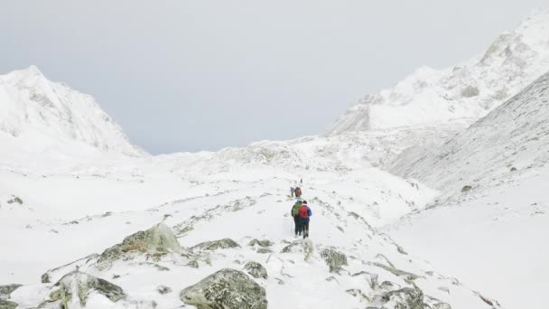 Backpackers op Larke Pass in Nepal, 5100m hoogte. Manaslu circuit trek gebied. — Stockvideo