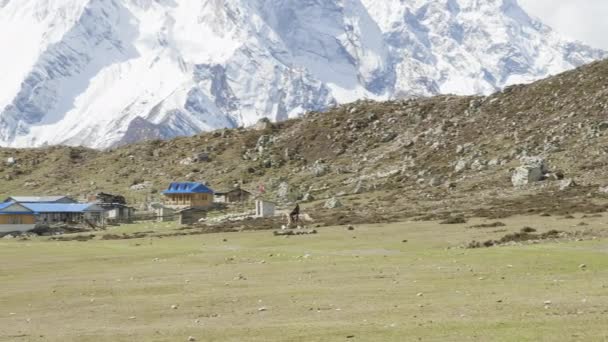Atlı köyü Bimthang, Nepal kuru sahaya sürmek. — Stok video