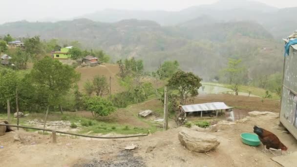 Frango come em aldeia nepalesa entre as montanhas . — Vídeo de Stock