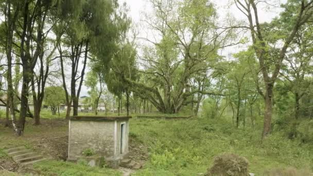 Parque verde en Pokhara, Nepal . — Vídeos de Stock