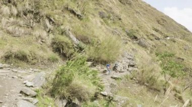 Bir sürü backpackers yürüyüş Nepal dağlarda yolda. Manaslu devre trek.