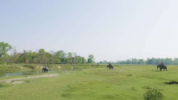 Safari con elefanti e turisti nella giungla, parco nazionale di Chaitwan, Nepal . — Video Stock