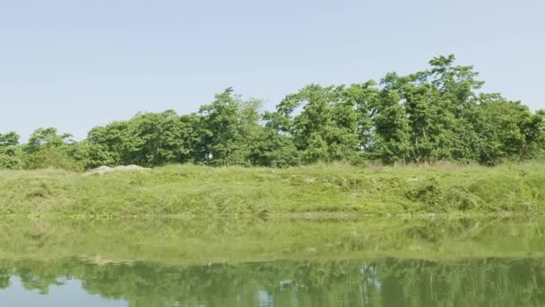 Foresta pluviale nel parco nazionale di Chitwan, Nepal . — Video Stock