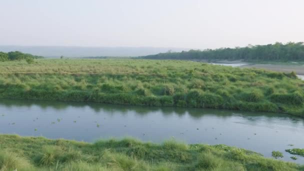Forêt tropicale dans le parc national de Chitwan, Népal .