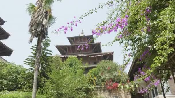 Ancienne ville Patan dans la vallée de Katmandou. Népal . — Video