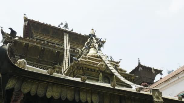 Templo de oro en Patan, monasterio Buddhist de la plaza de Durbar, Katmandú de Nepal . — Vídeo de stock