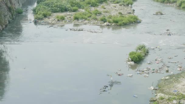 Vattenförorening av Bagmati River i Kathmandu, Nepal. — Stockvideo