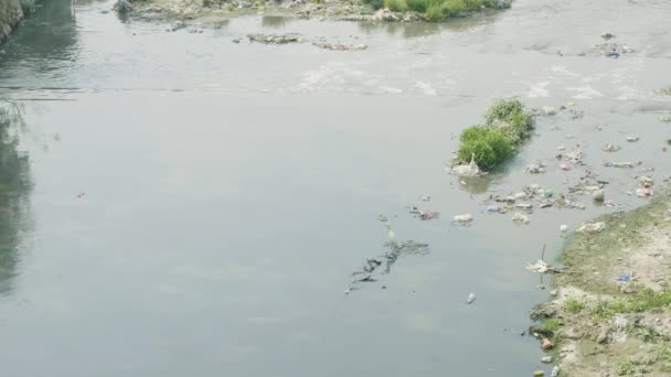 Poluição da água do rio Bagmati em Katmandu, Nepal . — Vídeo de Stock