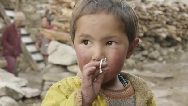Prok, Nepál - březen, 2018: Portrét místního chlapce v nepálské vesnice. — Stock video
