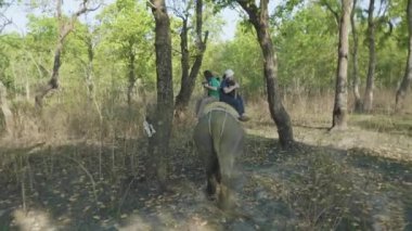 Chitwan, Nepal - Mart, 2018: Elephant safari Milli Parkı içinde turistler ile.