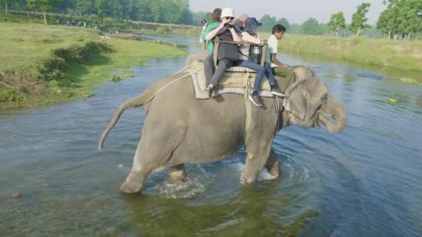 Chitwan Nepal Marzo 2018 Safari Elefantes Con Los Turistas Parque — Vídeo de stock