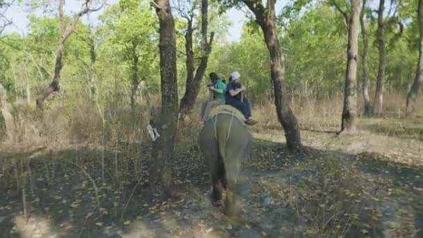 CHITWAN, NEPAL - MARÇO, 2018: safári de elefantes com os turistas no parque nacional . — Vídeo de Stock