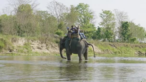 CHITWAN, NEPAL - MARZO, 2018: Safari de elefantes con los turistas en el parque nacional . — Vídeos de Stock