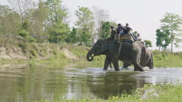 CHITWAN, NEPAL - MARZO, 2018: Safari de elefantes con los turistas en el parque nacional . — Vídeos de Stock