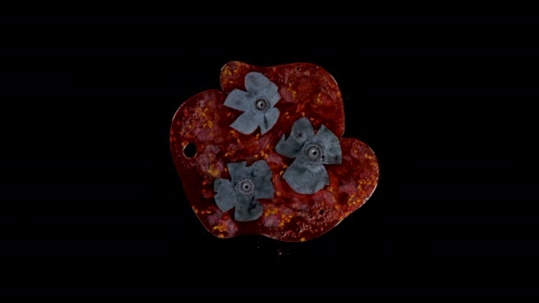 Abóbora isolada de mirtilos no estúdio com fundo preto — Vídeo de Stock