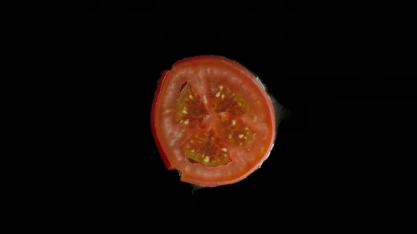 Απομονωμένη κόκκινη ντομάτα ισοπεδώνω στο στούντιο με το μαύρο φόντο — Αρχείο Βίντεο