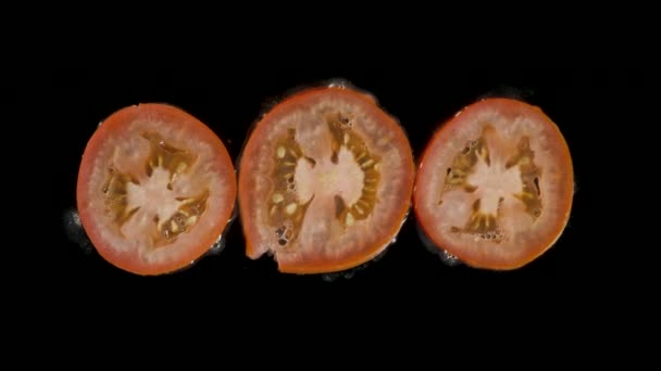 Isolated red tomato flatten out in the studio with black background — Stock Video