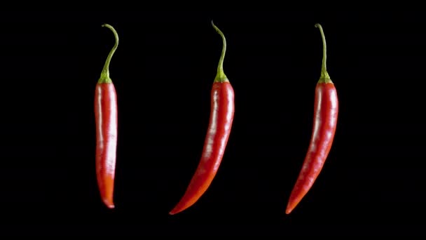 Three red hot isolated peppers rotate in the black studio — Stock Video