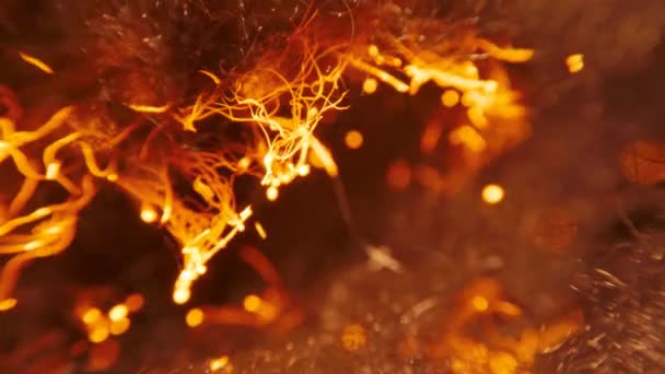 Ild sprer seg raskt gjennom stålull, mye gnister – stockvideo