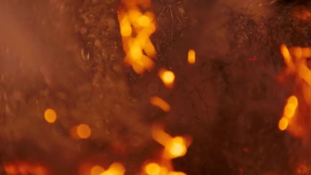 Focul se răspândește rapid prin lână de oțel, o mulțime de scântei — Videoclip de stoc